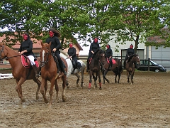 PO 2008